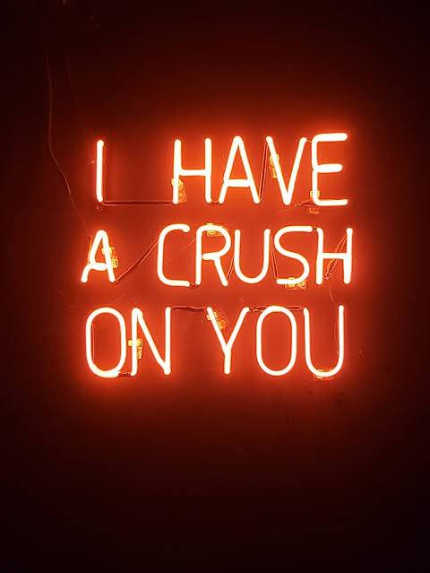i have a crush on you quotes images
